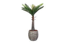 CYCAS PALMIYE YAPAY AGAC KÜÇÜK 120cm (759TUF000014) - KERVAN