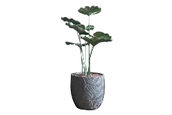 HA3HX1752P437GN5-A LOTUS YAPRAĞI YEŞİL 125 CM (759TUF000046) - YAPAY ÇİÇEK