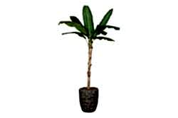 MUZ YAPAY AGAC 210cm (759TUF000006) - KERVAN