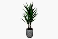 TH008635-A YUCCA FİLLERİ YAPAY AĞAÇ 165CM(759TUF000109) - YAPAY AĞAÇ