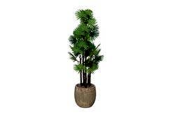 TH008775-A 6 KÖK FAN PALMİYE / 48 DALLI YAPAY AGAC 165CM(759TUF000082) - YAPAY AĞAÇ