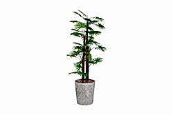 TH008777 FAN PALMİYE YAPAY AĞAÇ 170CM(759TUF000057) - YAPAY AĞAÇ