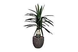 TH049052-A YAPAY CYCAS PALMIYE AGACI 125cm(759TUF000086) - YAPAY AĞAÇ