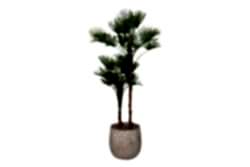 TH049094-A YAPAY PALMIYE AGACI 190cm(759TUF000079) - YAPAY AĞAÇ