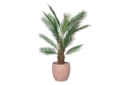 TH070072-A PALMIYE YAPAY AGAC 145cm(759TUF000069) - YAPAY AĞAÇ