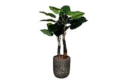 TH070346-A WILD TARO YAPAY AGAC 190cm(759TUF000104) - YAPAY AĞAÇ